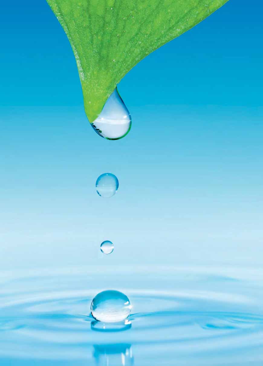 Pure Water Systems: Reverse-osmosis pure water production for spot-free panel cleaning.